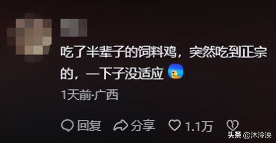 婵哥哥做白斩鸡被评委说肉老麻将胡了2试玩模拟器全红