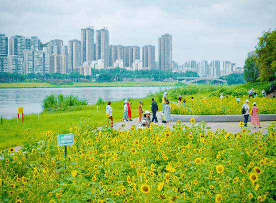 一头扎进青秀的风光与烟火里get最美骑行路线!麻将胡了2试玩网站【跟着赛事游青秀】破风而行(图4) 一头扎进青秀的风光与烟火里get最美骑行路线!麻将胡了2试玩网站【跟着赛事游青秀】破风而行(图4)